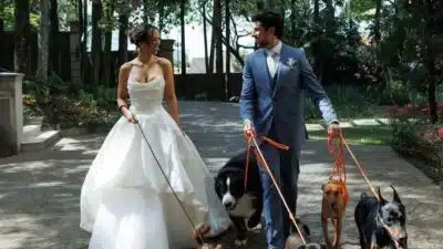 Lara Silva e Julinho Casares pedem doação de ração para celebrar casamento