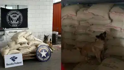 PF apreende 500kg de cocaína em carga de café no Rio de Janeiro