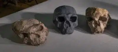 Crânio de 1 milhão de anos muda teoria da evolução humana na China