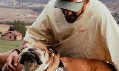 Lewis Hamilton lamenta a morte do cão Roscoe e se emociona: “Experiência dolorosa”