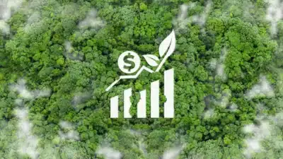 Governo propõe modelo ousado de mercado de carbono na COP30