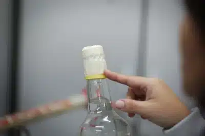 Relator Kiko Celeguim quer penas severas para falsificação de bebidas Relator Kiko Celeguim quer penas severas para falsificação de bebidas