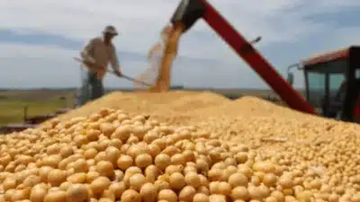 Brasil ultrapassa EUA e lidera exportação de soja para a China