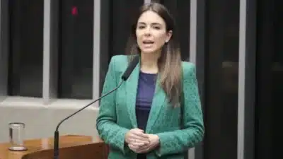 Frentes parlamentares lançam manifesto por reajuste do Simples Nacional