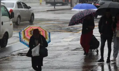 São Paulo: Temporais e Alerta da Defesa Civil com Chuvas Intensas