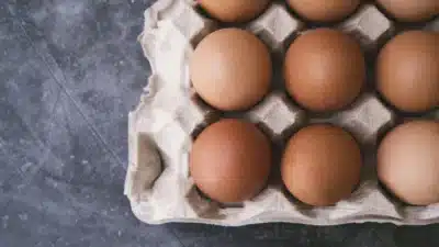 ABPA projeta recorde de produção e consumo de ovos no Dia Mundial da Proteína