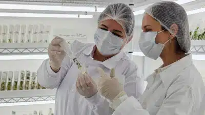 Biossensor da USP detecta proteína na saliva ligada à depressão e esquizofrenia