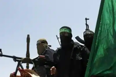 Hamas rejeita desarmamento e Trump anuncia nova fase do plano de paz