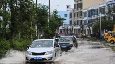 Tufão Matmo: Alerta vermelho em Guangdong e Hainan com evacuação de 347 mil pessoas